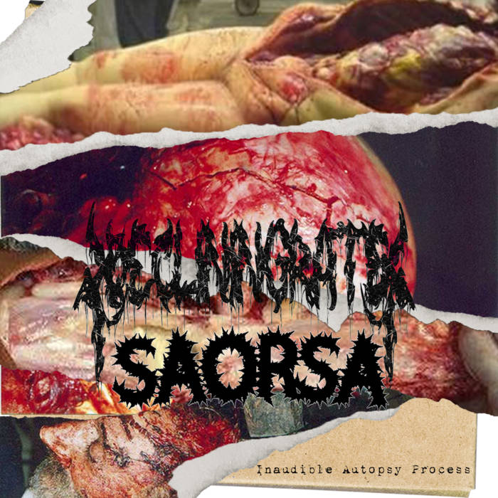 SAORSA - Inaudible Autopsy Process cover 