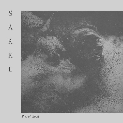 SARKE - Ties Of Blood cover 