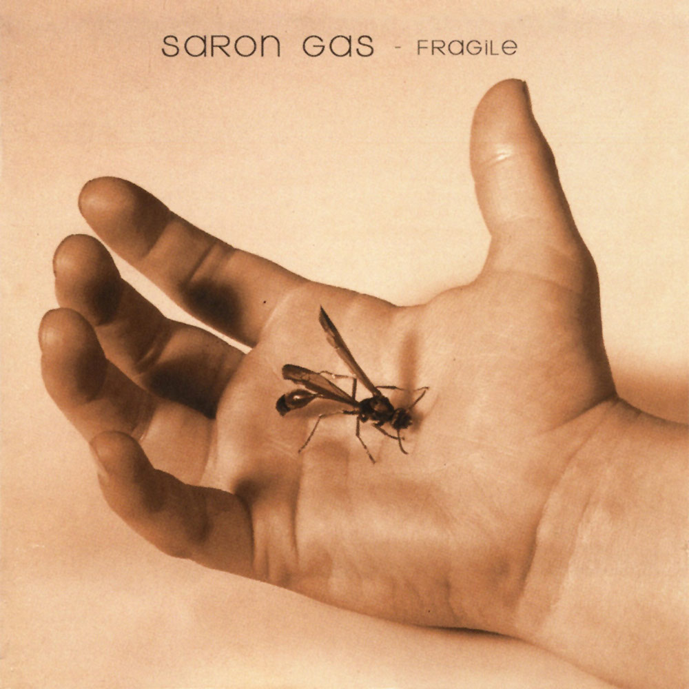 SARON GAS - Fragile cover 