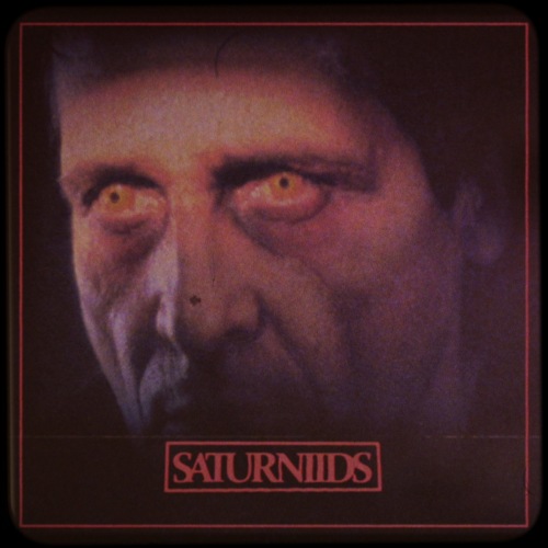 SATURNIIDS - Saturniids cover 