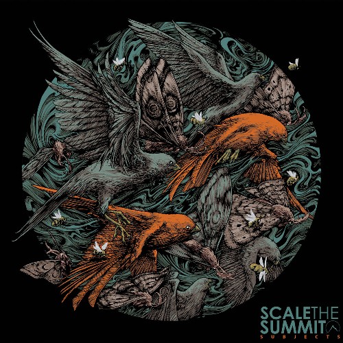 SCALE THE SUMMIT - Subjects cover 
