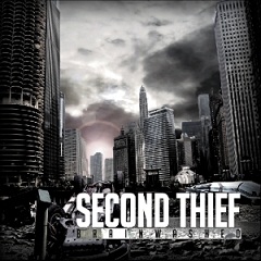 SECOND THIEF - Brainwashed cover 