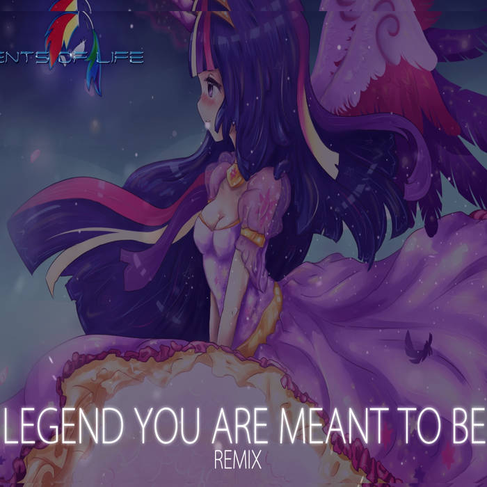 SEGMENTS OF LIFE - Legend You Are Meant To Be Remix cover 
