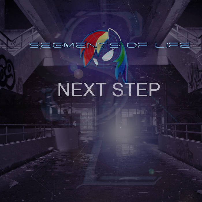 SEGMENTS OF LIFE - Next Step cover 