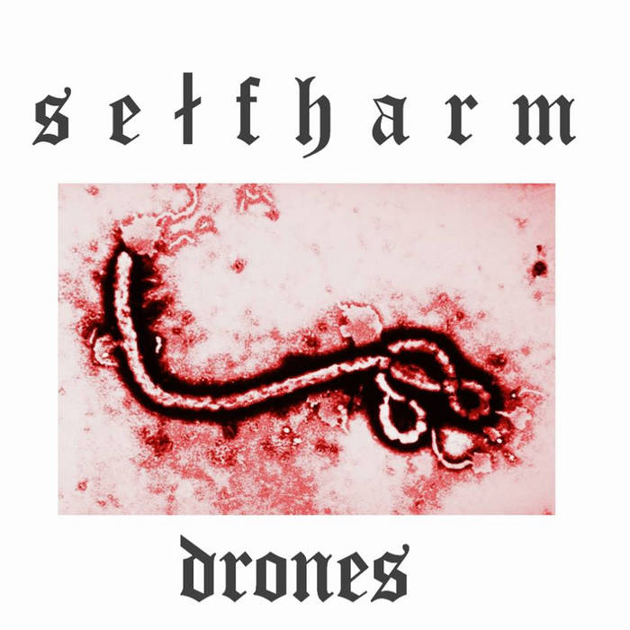 SELF HARM - Drones cover 