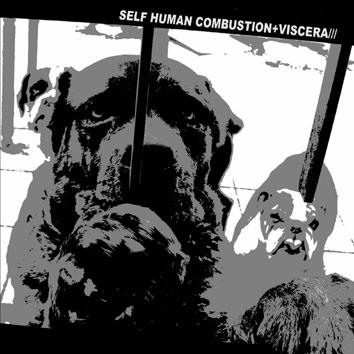 SELF HUMAN COMBUSTION - Self Human Combustion vs. Viscera/// cover 