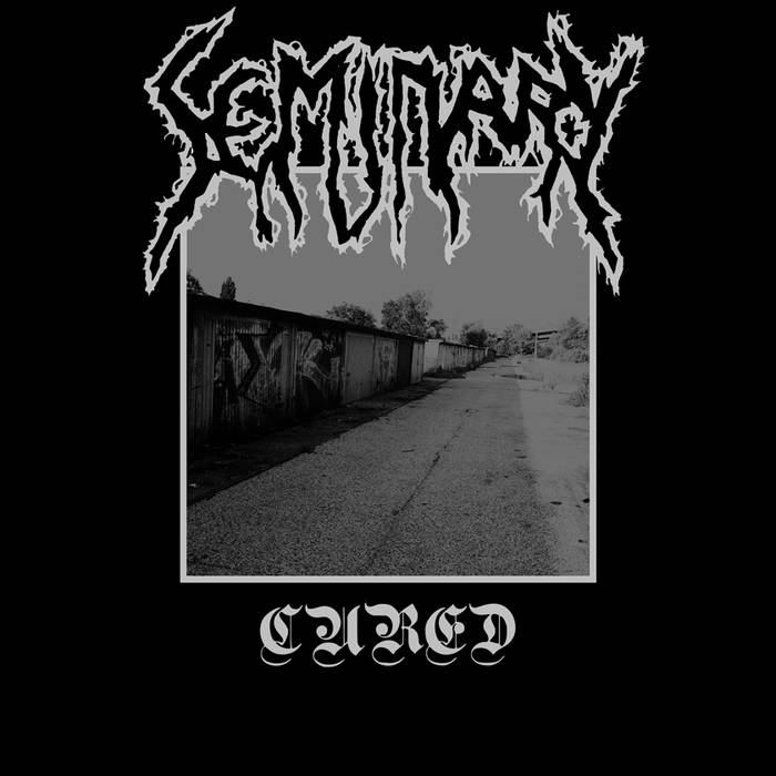 SEMINARY - Cured cover 