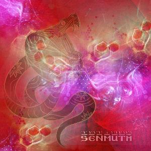 SENMUTH - 111 111 111 x 111 111 111 cover 