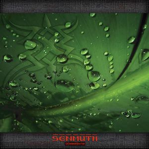 SENMUTH - so(znanye)bitya cover 