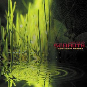 SENMUTH - Tishina Posle Vspleska cover 