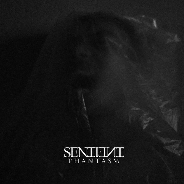 SENTIENT - Phantasm cover 