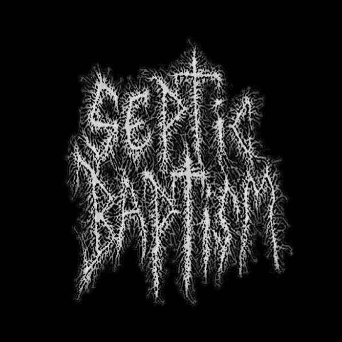 SEPTIC BAPTISM - More Songs! cover 