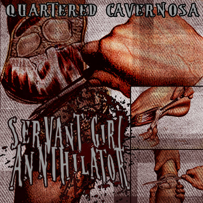 SERVANT GIRL ANNIHILATOR (NJ) - Quartered Cavernosa cover 
