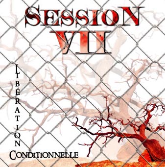 SESSION VII - Libération Conditionnelle cover 
