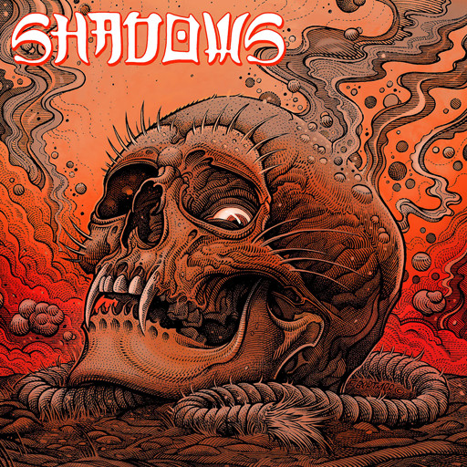 SHADOWS - Illuminate cover 