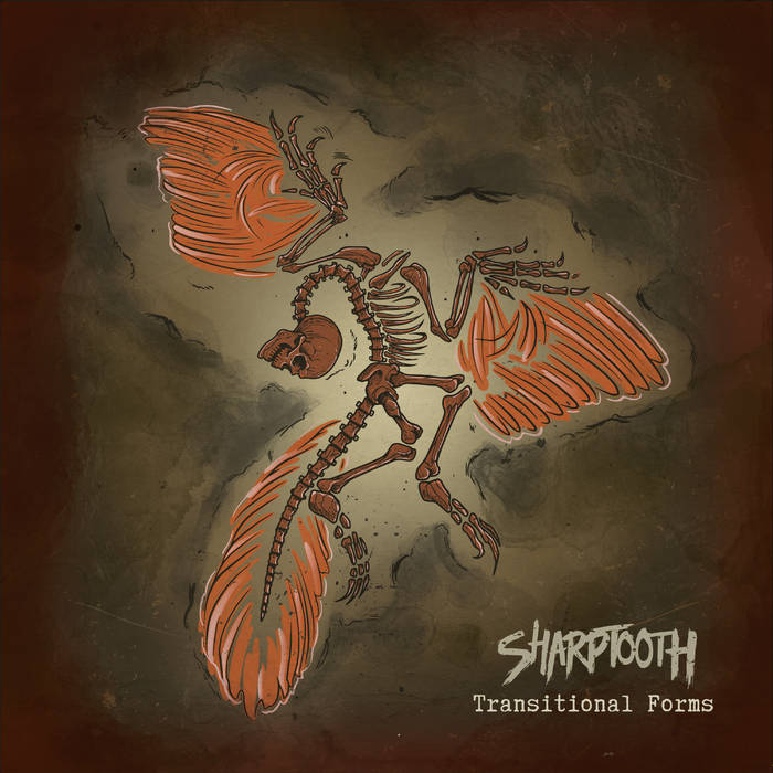 SHARPTOOTH - Transitional Forms cover 