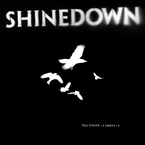 SHINEDOWN - The Sound of Madness cover 