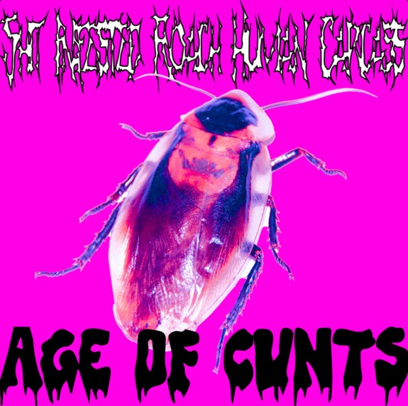 SHIT INFESTED ROACH HUMAN CARCASS - Age of Cunts cover 