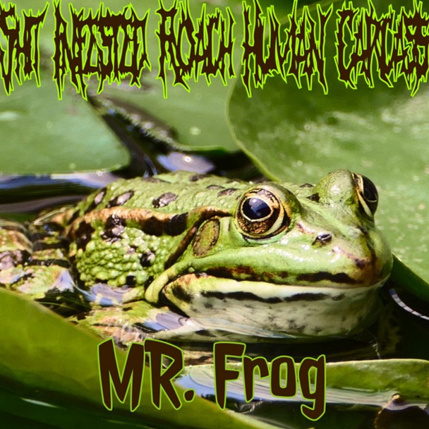 SHIT INFESTED ROACH HUMAN CARCASS - Mr. Frog cover 