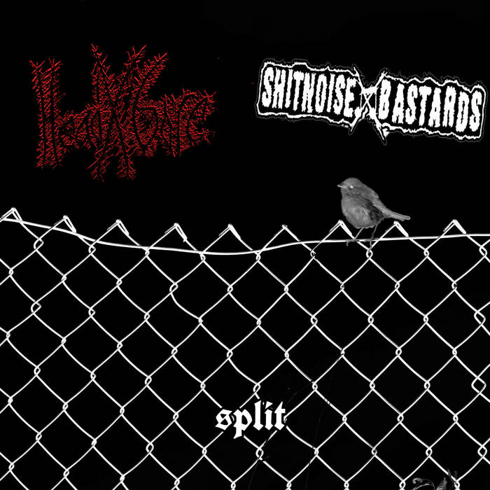SHITNOISE BASTARDS - Headgore / Shitnoise Bastards cover 