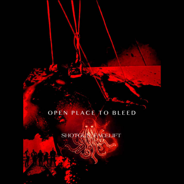 SHOTGUN FACELIFT (ND) - Open Place To Bleed cover 
