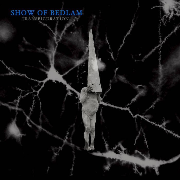 SHOW OF BEDLAM - Transfiguration cover 