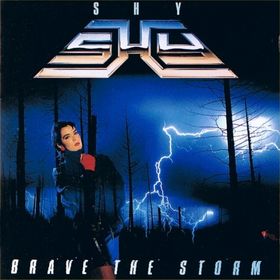 SHY - Brave the Storm cover 