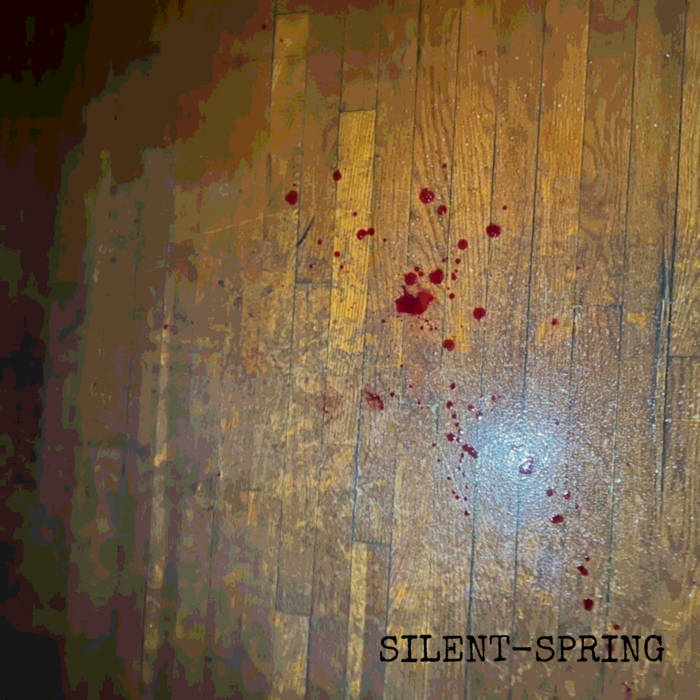 SILENT SPRING - Julypractice cover 