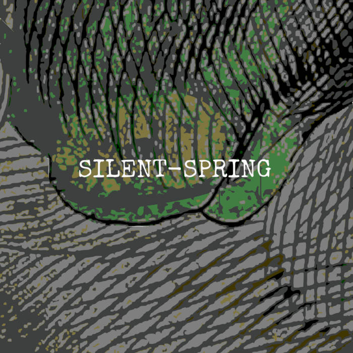 SILENT SPRING - Tease.midi cover 