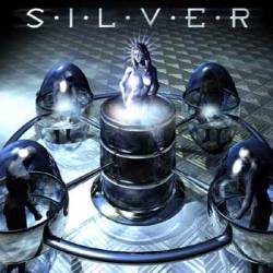 SILVER - Silver cover 