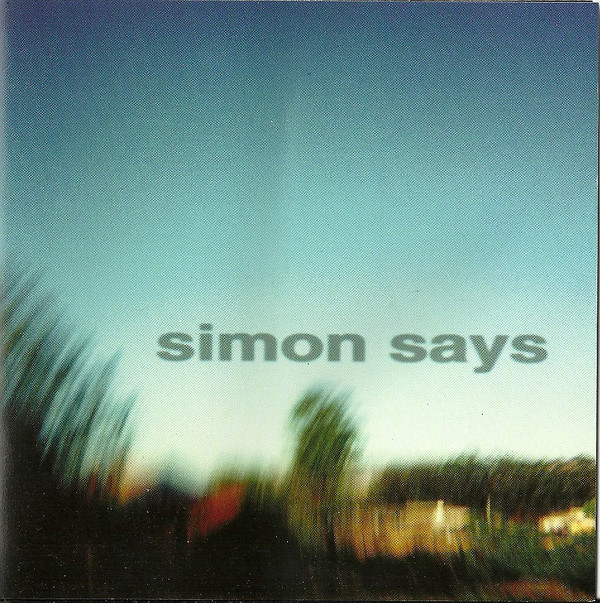 SIMON SAYS - Perfect Example cover 