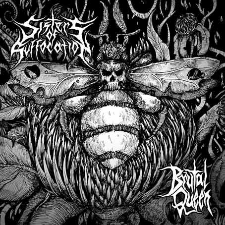 SISTERS OF SUFFOCATION - Brutal Queen cover 