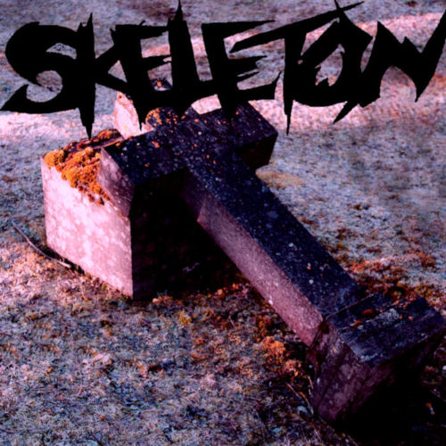 SKELETON - Eye Servant - Remix cover 
