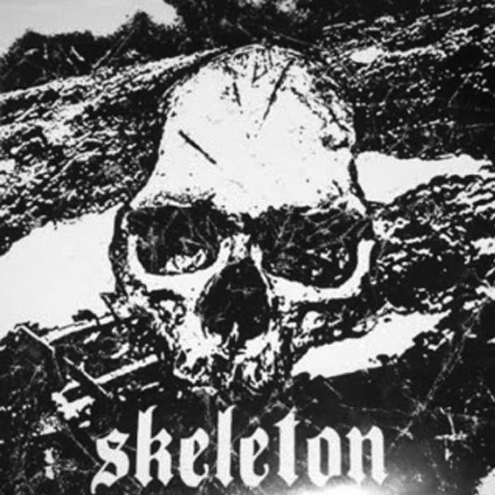 SKELETON - Disgrace And Destruction / Welcome The Hail cover 