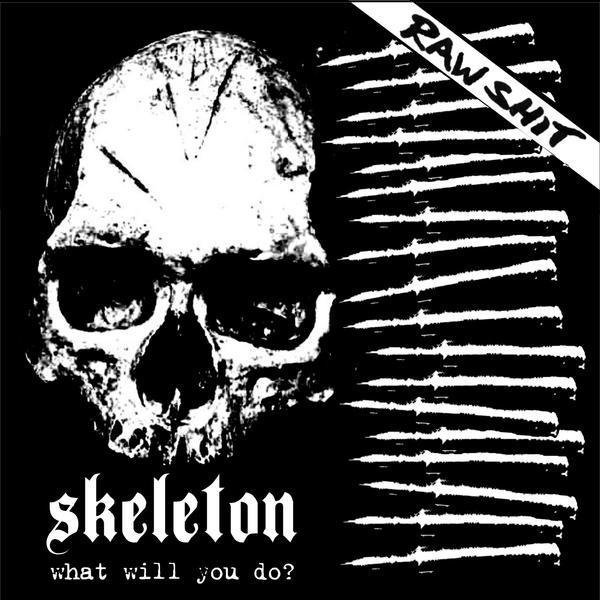 SKELETON - What Will You Do? cover 