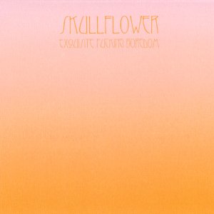 SKULLFLOWER - Exquisite Fucking Boredom cover 