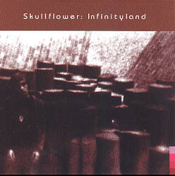 SKULLFLOWER - Infinityland cover 