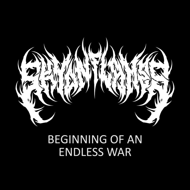 SKY ON FLAMES - Beginning Of An Endless War cover 