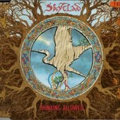 SKYCLAD - Thinking Allowed? cover 