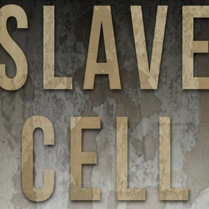 SLAVE CELL - Charged Into Change cover 