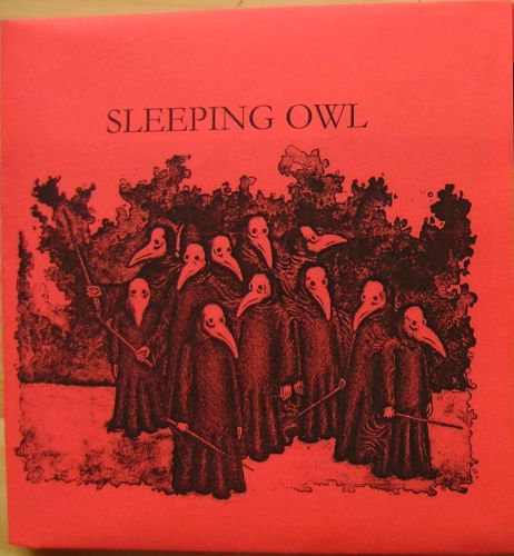 SLEEPING OWL - 24.12.2011 cover 
