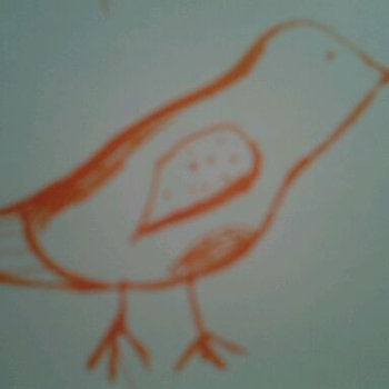 SLOTH - Bird cover 