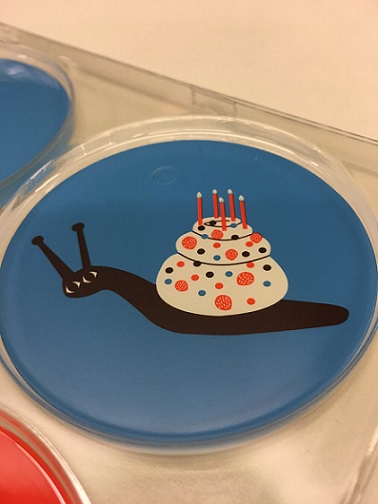 SLOTH - Birfday Cake Snail cover 