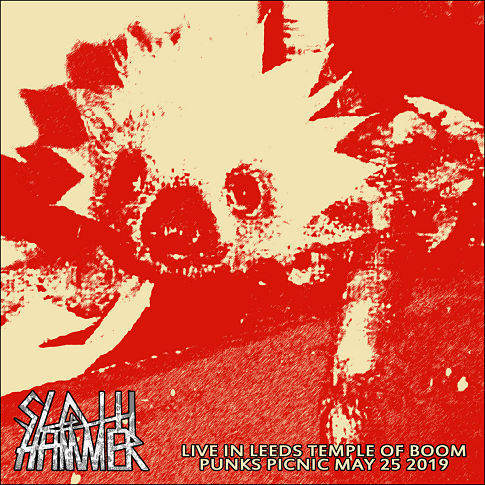 SLOTH HAMMER - Live At Punks' Picnic cover 
