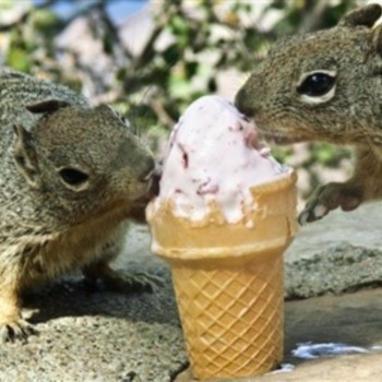 SLOTH - I'm Glad We Found This Vegan Ice Cream Tree! I'm Even More Glad That We Are Together To Share It! cover 