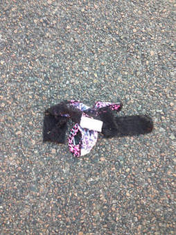 SLOTH - Porn Shop Parking Lot Panty Drop cover 