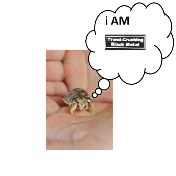 SLOTH - Teensy Turtle IS Trend​-​Crushing BLKMTL​!​! cover 