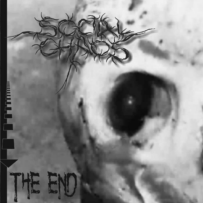 SOCIAL CHAOS - The End cover 