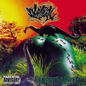 SOLDABLEURKTHAL - Insectophily cover 