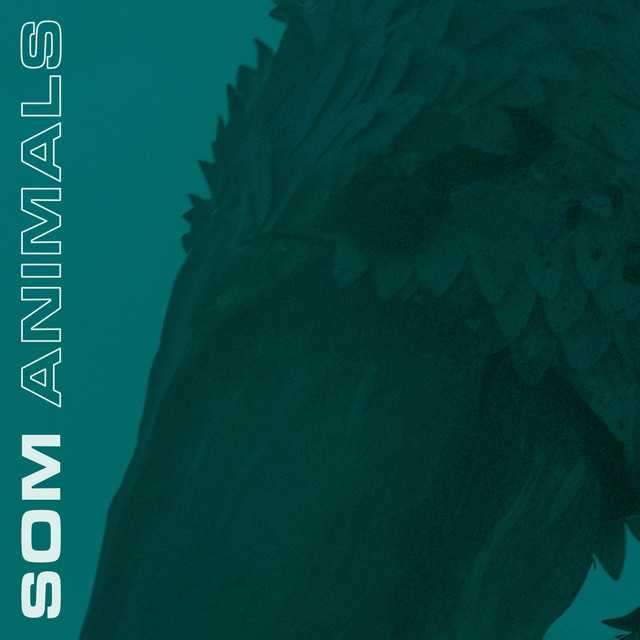 SOM - Animals cover 